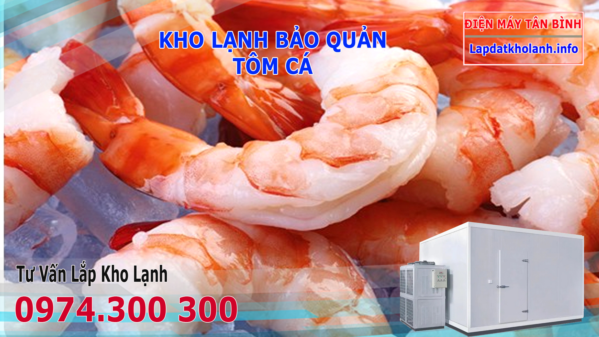 kho lạnh bảo quản tôm đông lạnh