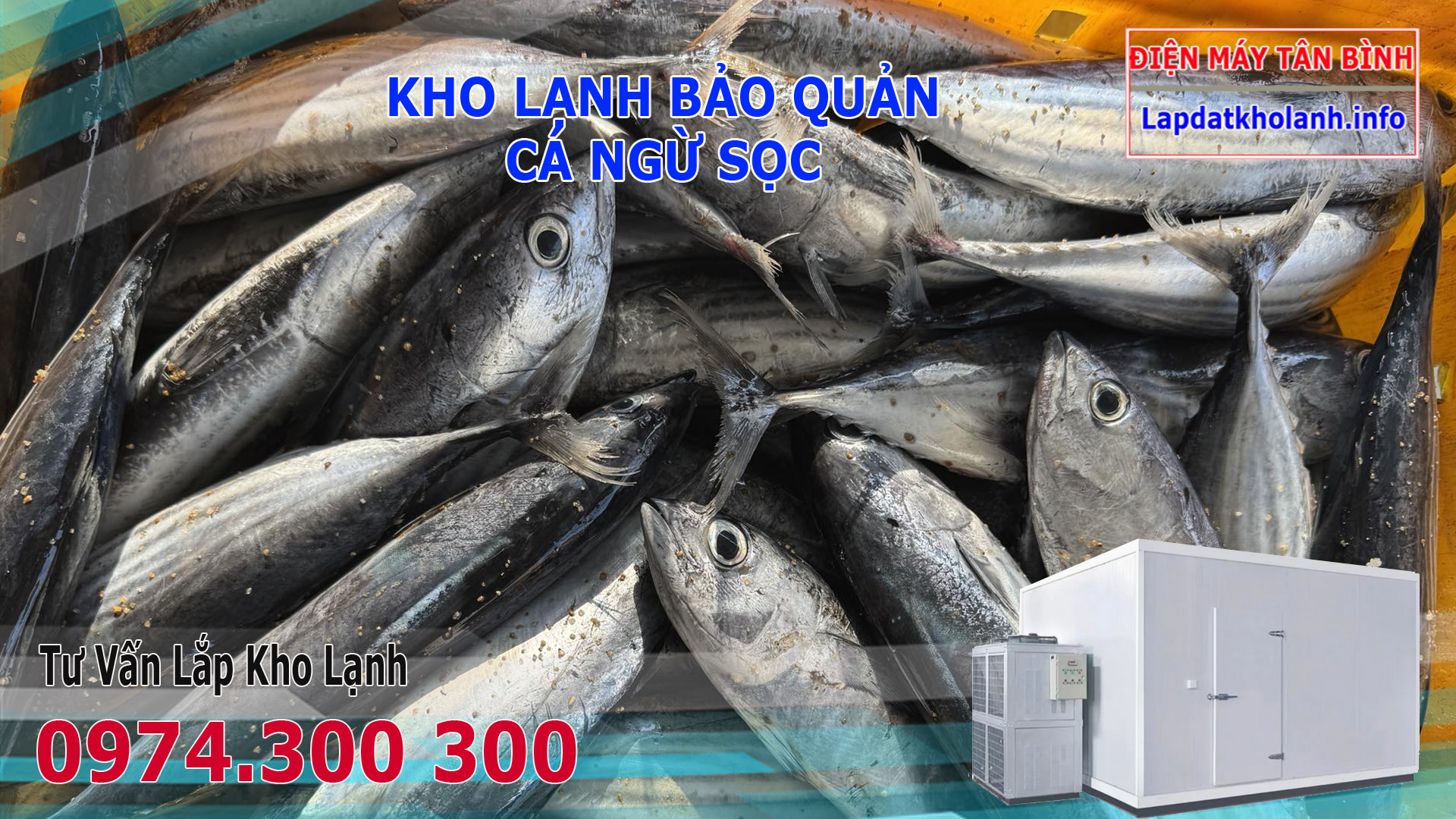 kho lạnh bảo quản cá ngừ sọc