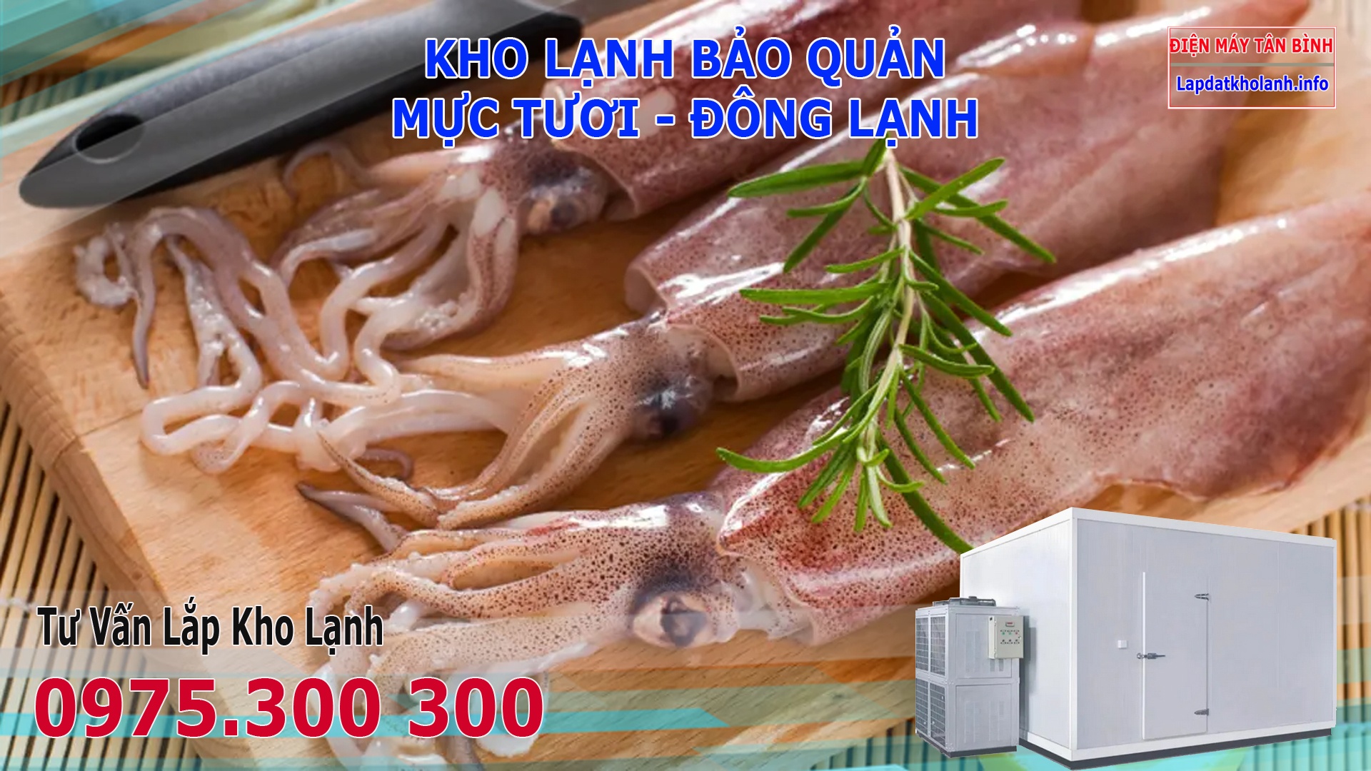 Lắp đặt kho lạnh bảo quản Mực tươi và Đông Lạnh