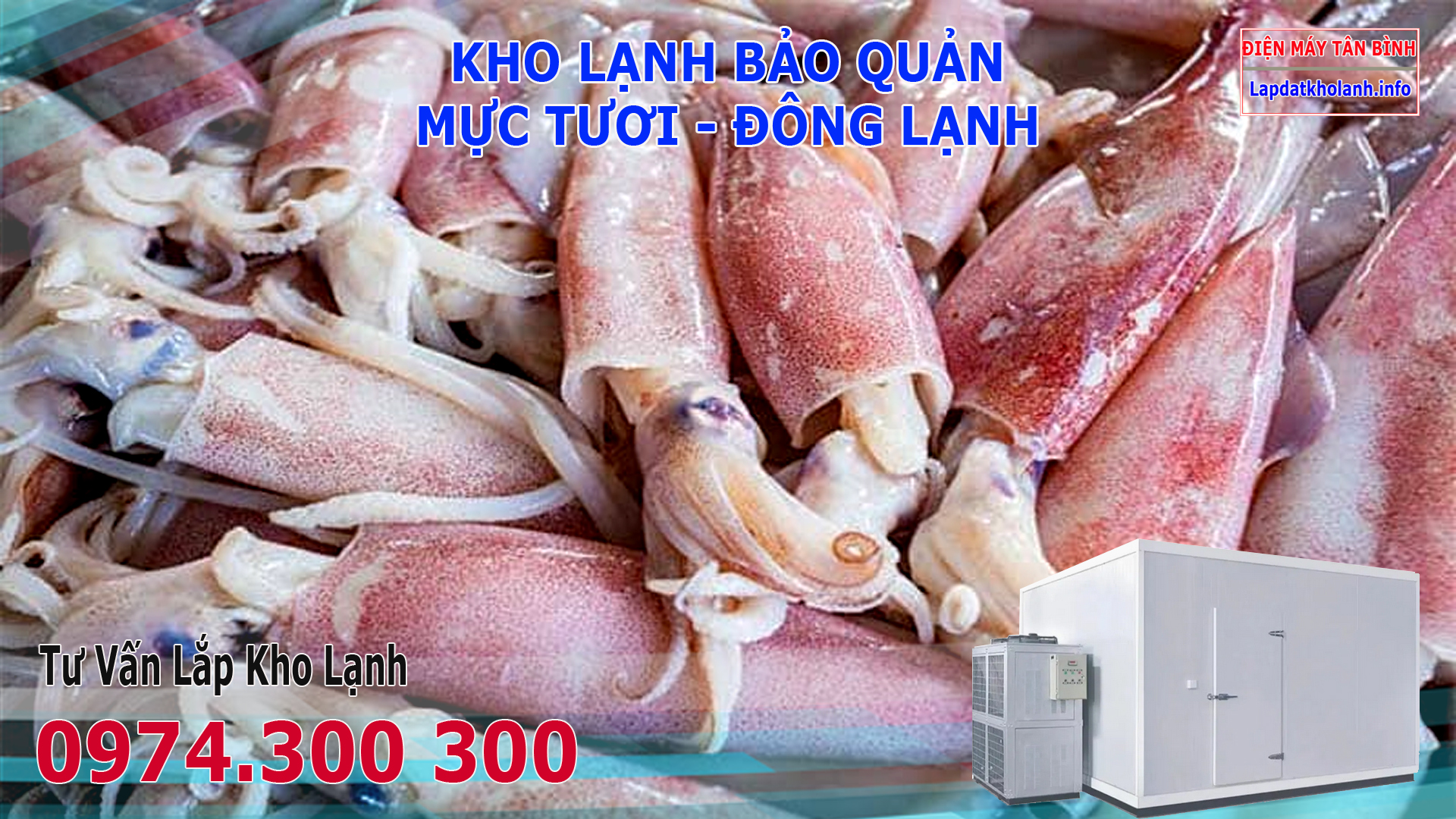 Lắp đặt kho lạnh bảo quản Mực tươi và Đông Lạnh