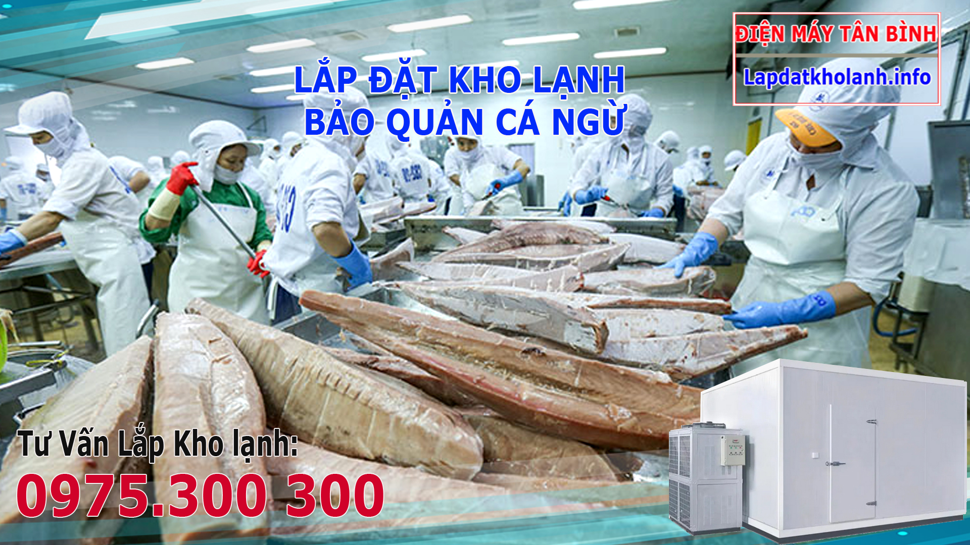 Quy trình sản xuất cá ngừ đông lạnh đúng chuẩn
