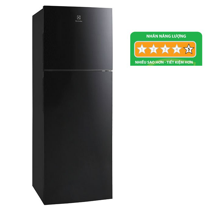 Tủ lạnh 210 Lít Inverter Electrolux ETB2102BG