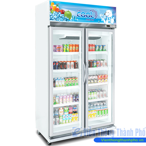 Tủ mát 700L lít 2 cánh cửa The Cool ALEX 2P