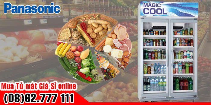 Tủ ướp lạnh 700 l&iacute;t 2 cửa k&iacute;nh Panasonic SBC-P2DS