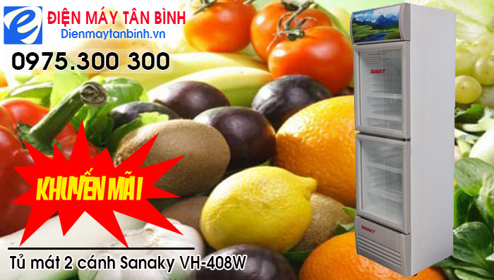 Sanaky vh-408w
