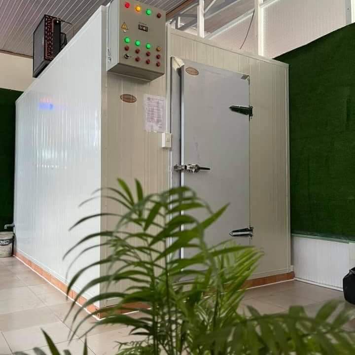 lắp đặt kho lạnh trử trái cây